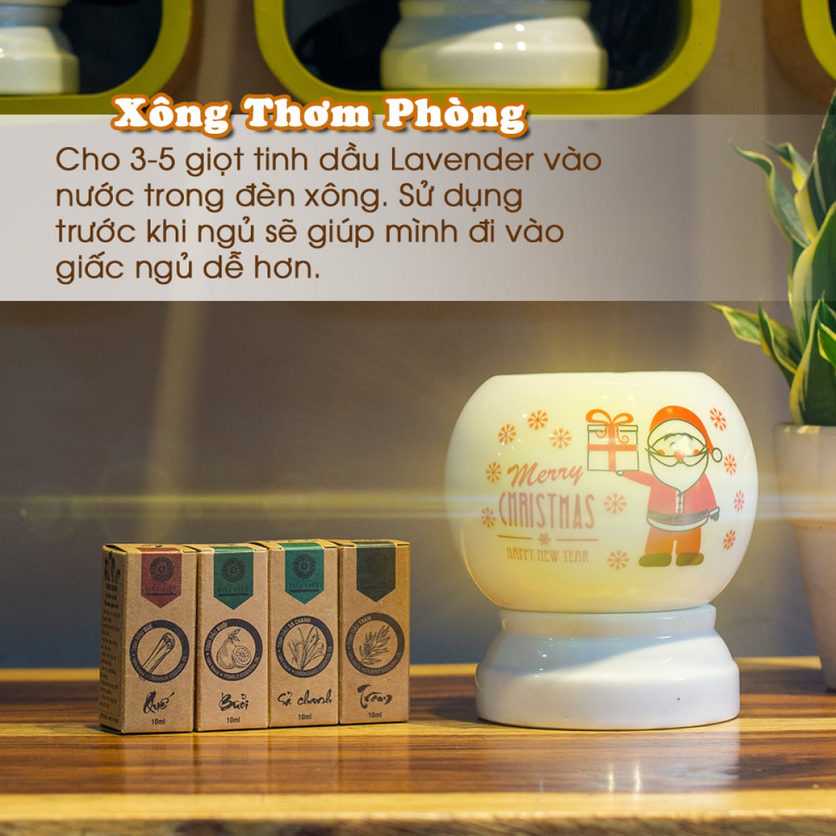 Cách chọn tinh dầu thơm phòng theo không gian | Tinh Dầu Đất Việt