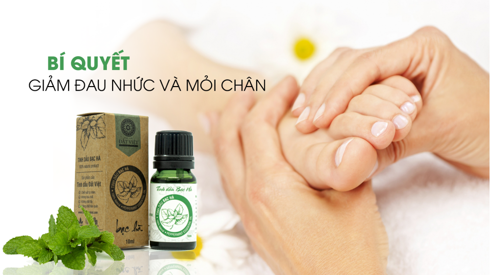 Cách chọn tinh dầu massage chân hiệu quả tại nhà | Tinh Dầu Đất Việt