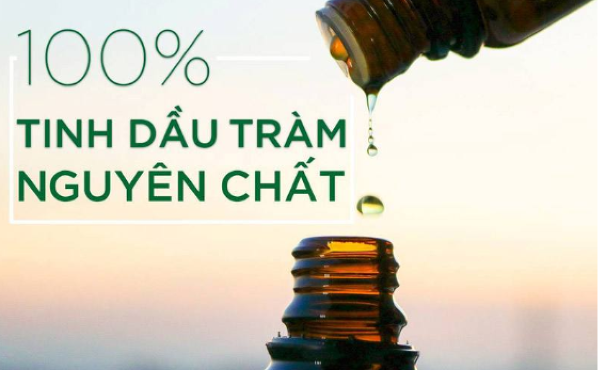 Tinh dầu tràm nguyên chất và công dụng ngừa vi khuẩn dịch hiệu quả.