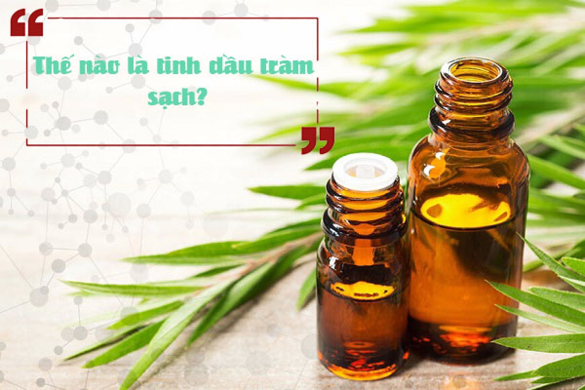 Thế nào là tinh dầu tràm sạch? Mua tinh dầu tràm nguyên chất ở đâu?