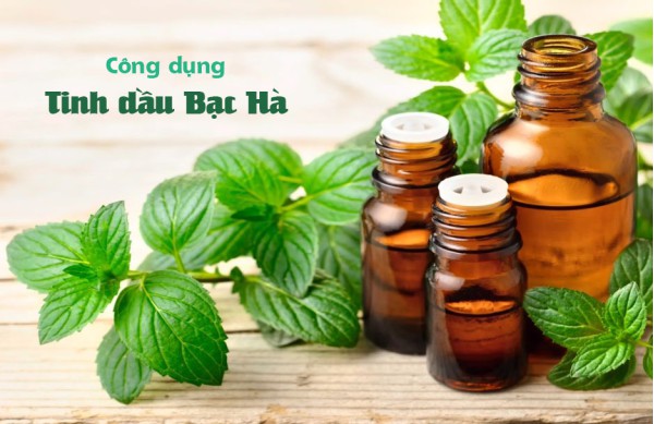 Tác dụng của tinh dầu bạc hà và 9 lí do nên sở hữu