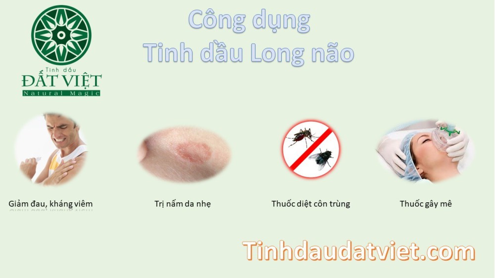 9 công dụng thần kỳ của tinh dầu long não