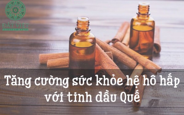 Tác dụng hỗ trợ hô hấp của tinh dầu quế