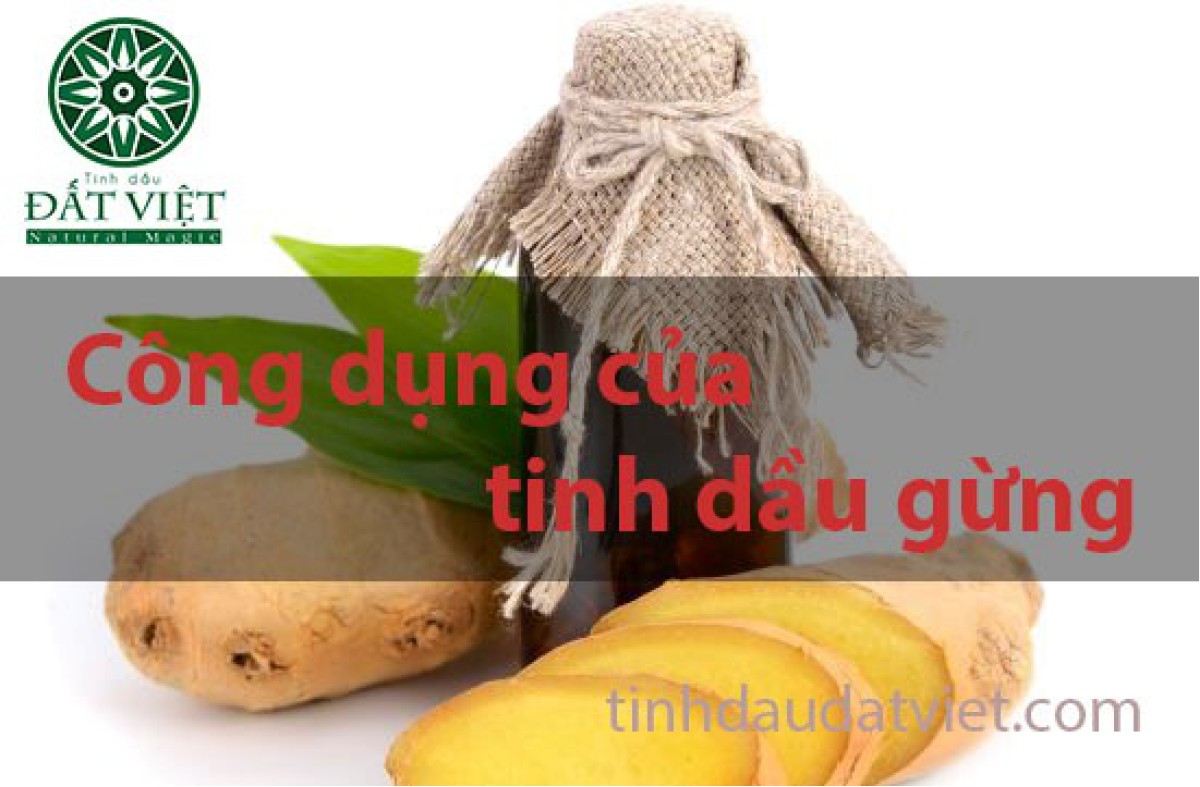 Công dụng của gừng và lợi ích khi sử dụng tinh dầu gừng nguyên chất