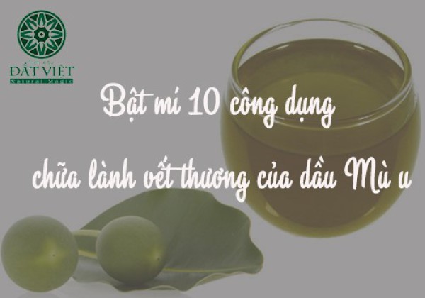 Bật mí 10 Tác dụng chữa lành vết thương của Dầu Mù u