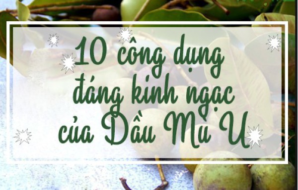 10 công dụng đáng kinh ngạc của Dầu Mù U