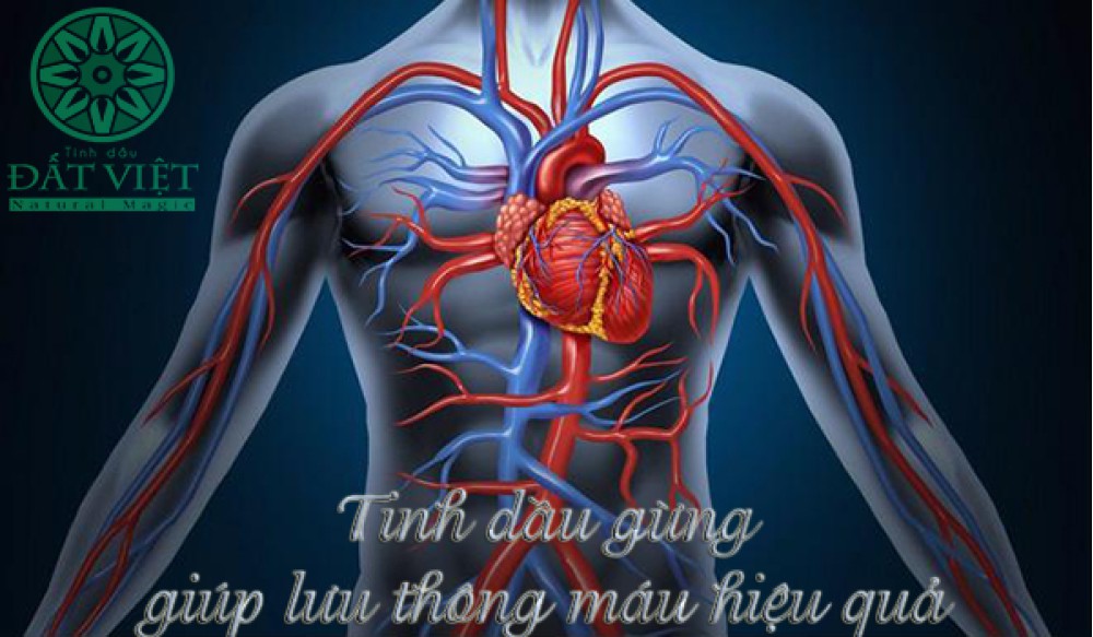 Tinh dầu gừng giúp lưu thông máu hiệu quả