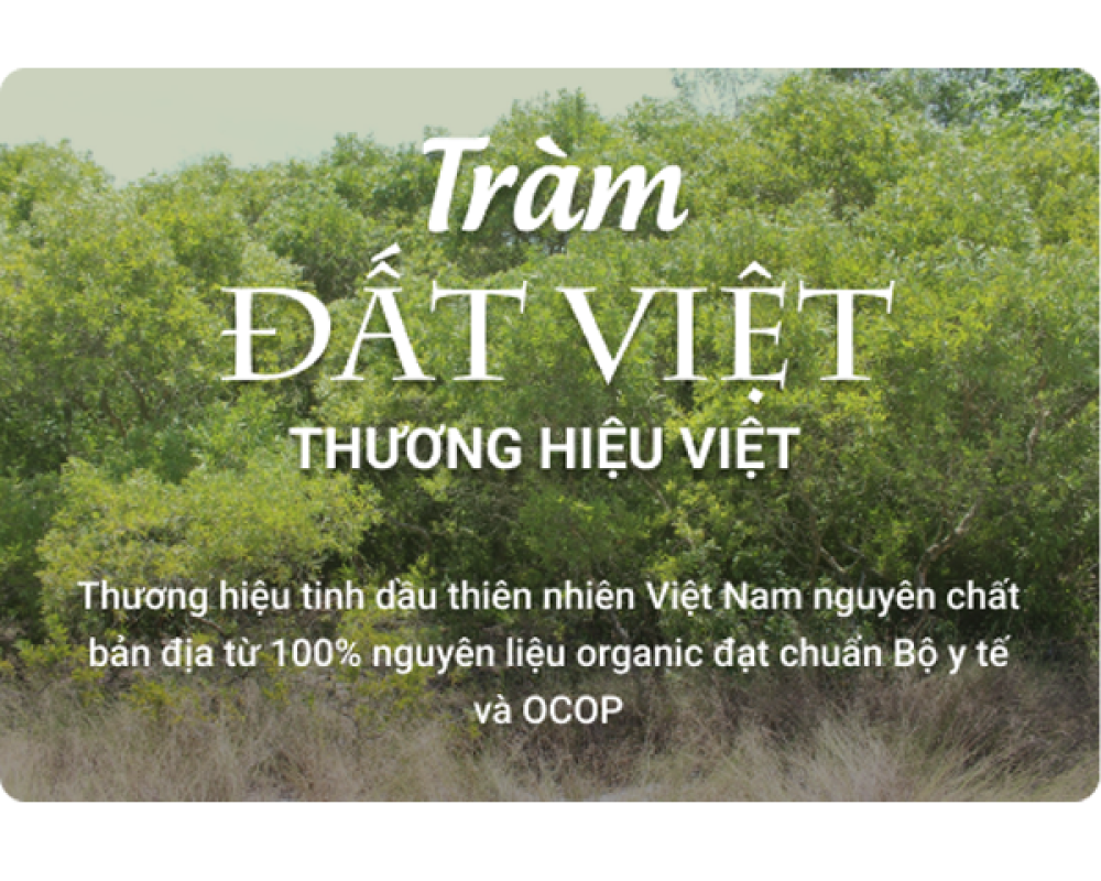 Câu chuyện về thổ sản Huế - Vùng đất tinh hoa tràm