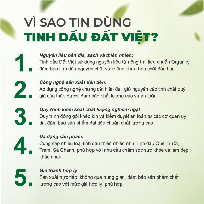  Tinh dầu Quế nguyên chất Đất Việt 30ml