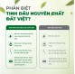 Dầu khuynh diệp nguyên chất Đất Việt 25ml