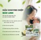 Dầu khuynh diệp nguyên chất Đất Việt 25ml