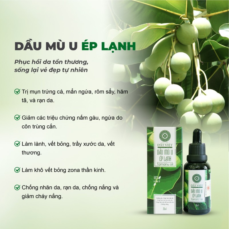 Dầu mù u ép lạnh nguyên chất Đất Việt 10ml