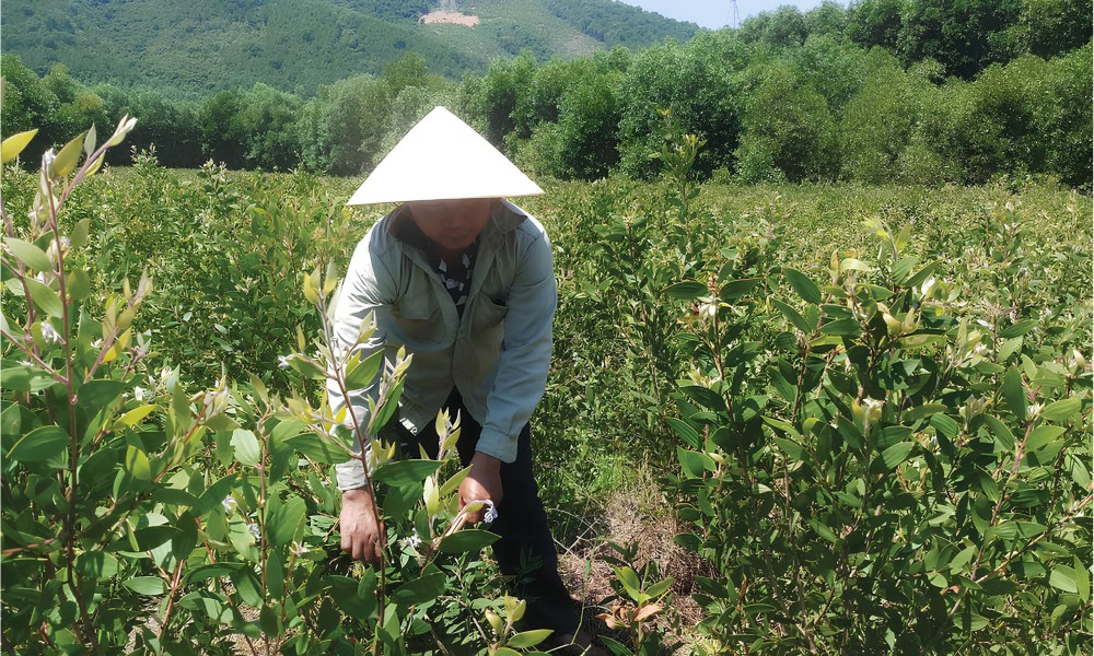 ĐẠT CHỨNG NHẬN AN TOÀN VÀ CHẤT LƯỢNG