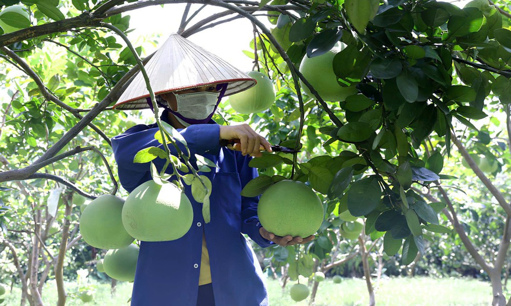 ĐẠT CHỨNG NHẬN