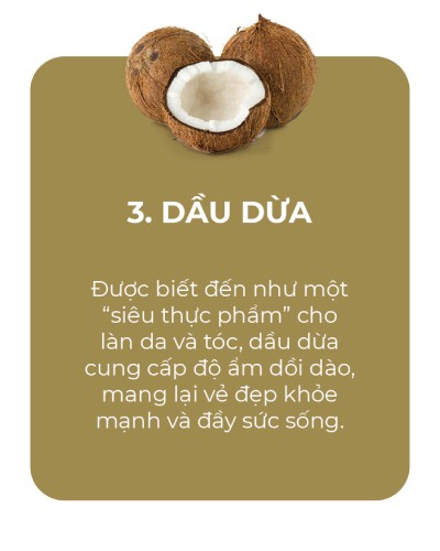 NGUYÊN LIỆU DẦU DỪA