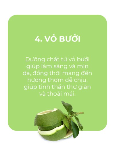 NGUYÊN LIỆU VỎ BƯỞI